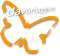 Davor Baggio – PersÃ¶nlichkeitsentwicklung und Coaching